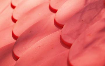 Paisley plastic roof costs