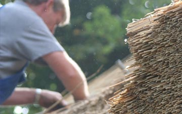 professional Paisley thatchers