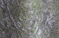 Paisley fibreglass roof work